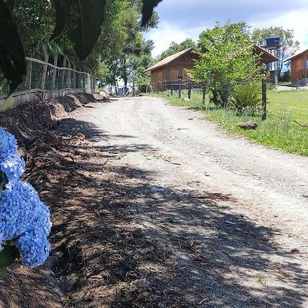 Chales Manaca Da Serra أوروبيسي المظهر الخارجي الصورة