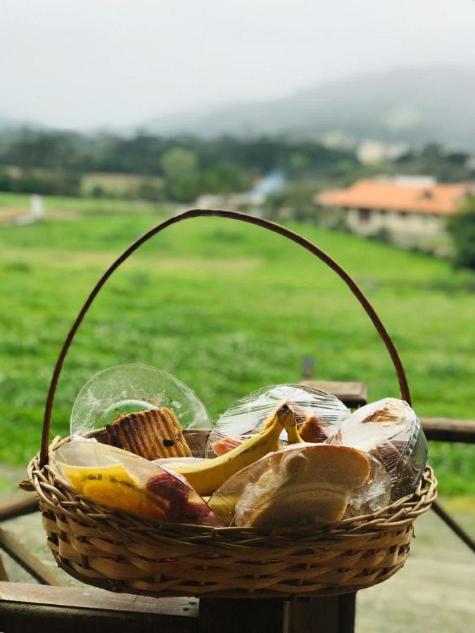 Chales Manaca Da Serra أوروبيسي المظهر الخارجي الصورة