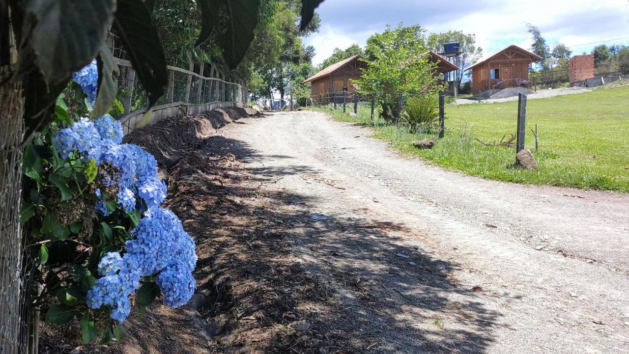 Chales Manaca Da Serra أوروبيسي المظهر الخارجي الصورة