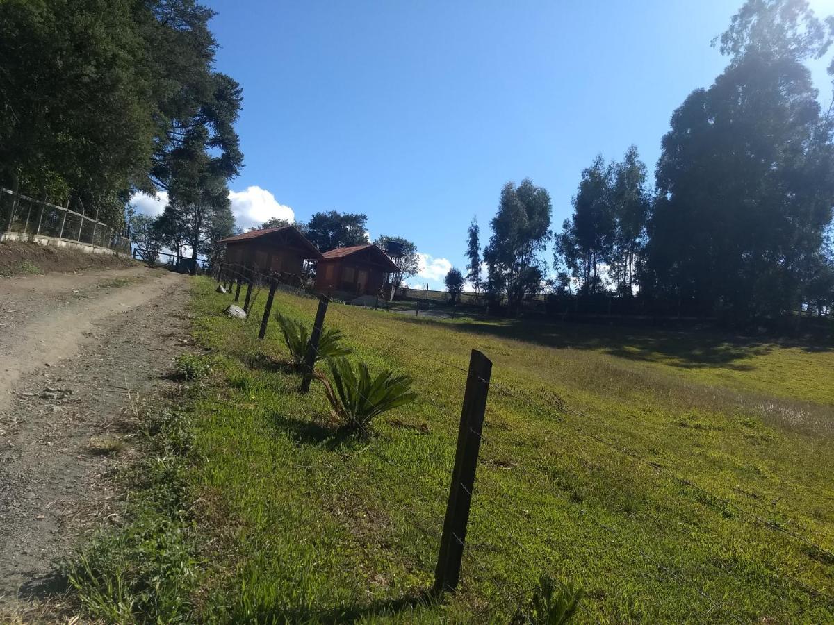 Chales Manaca Da Serra أوروبيسي المظهر الخارجي الصورة